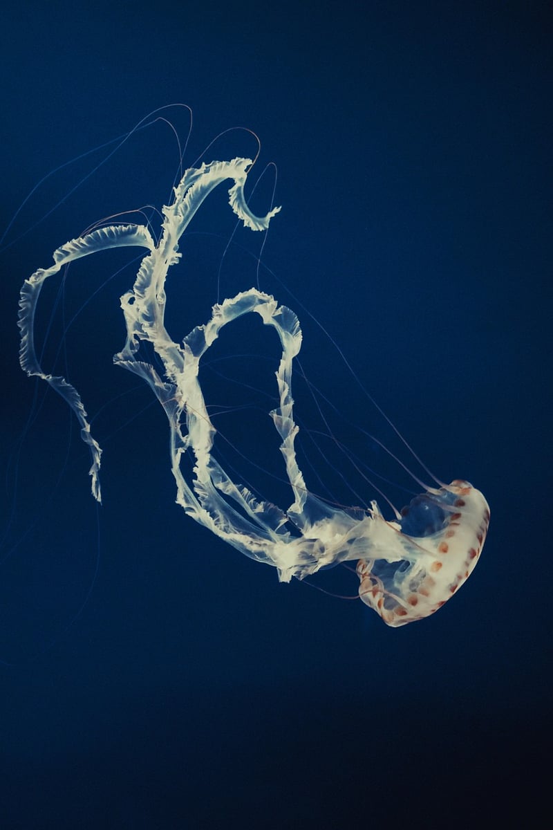 Marine Biology
