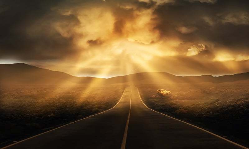 Sunset over the savanna